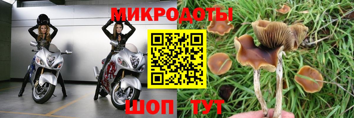 Галлюциногенные грибы GOLDEN TEACHER Нарткала